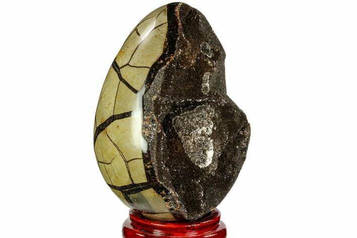 Septarian Dragon Egg Geode - Black Crystals #110874